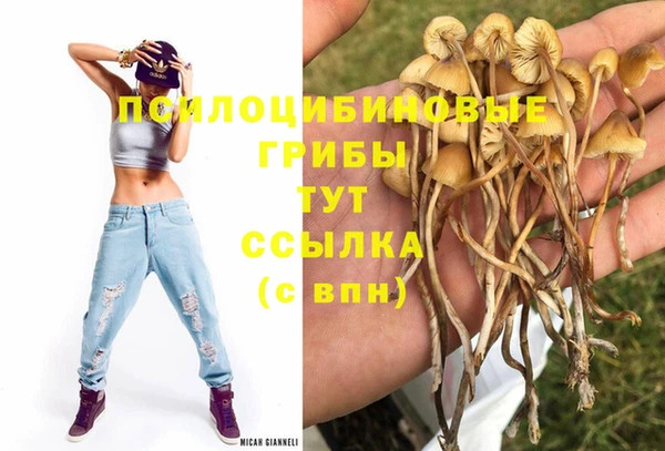 экстази Верхний Тагил