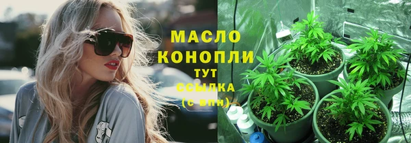 твердый Тында