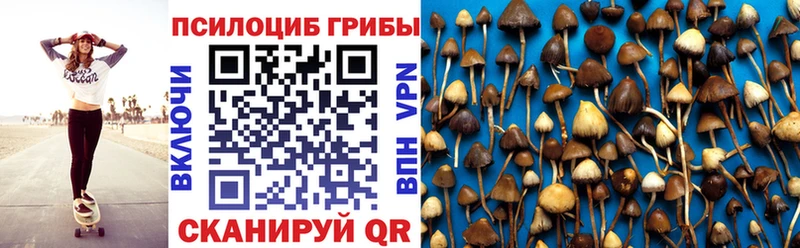 хочу   Ростов  мега онион  Псилоцибиновые грибы Cubensis 